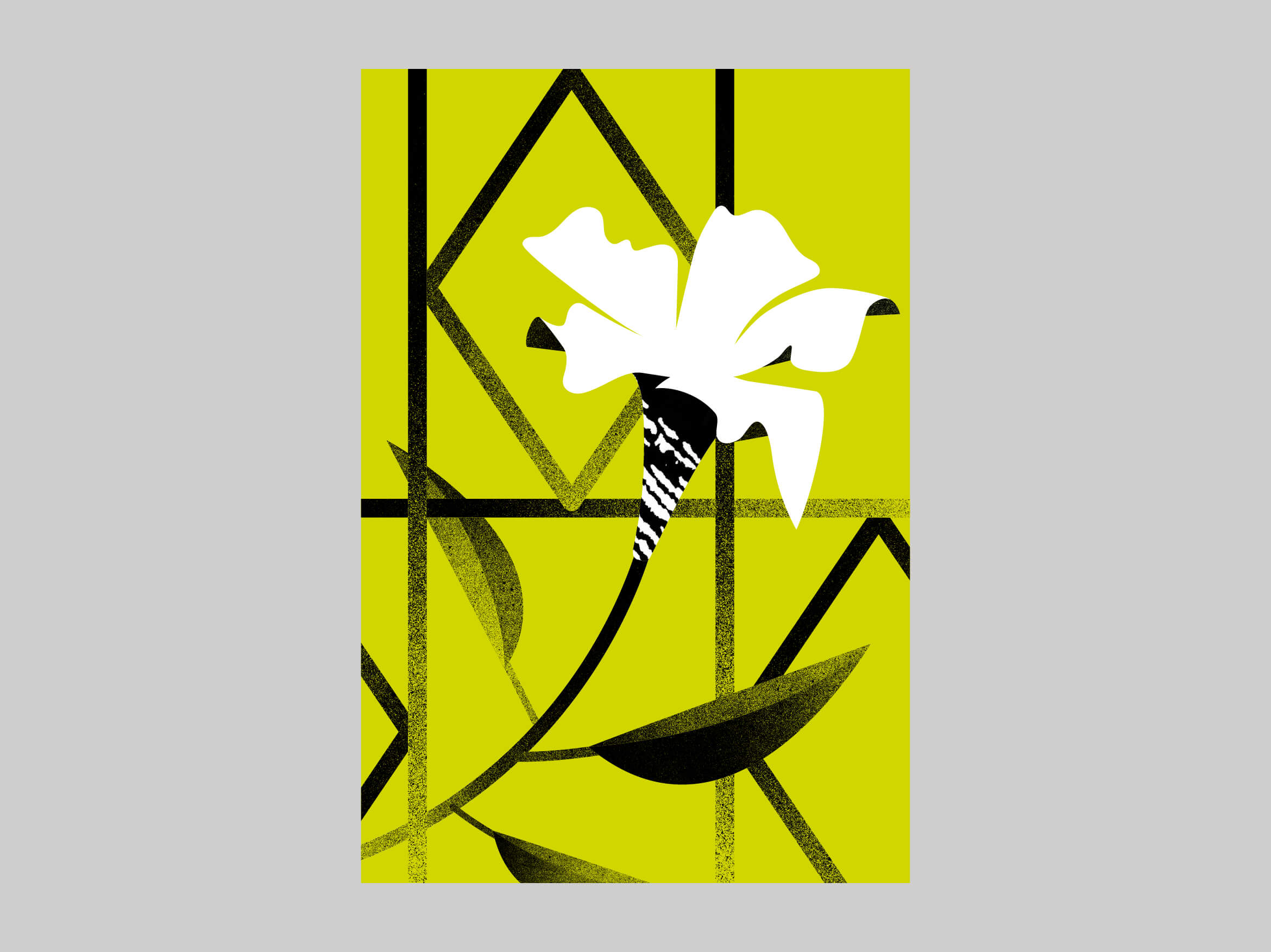 studio_andrebritz_flowers_behind_fences_illustration_003